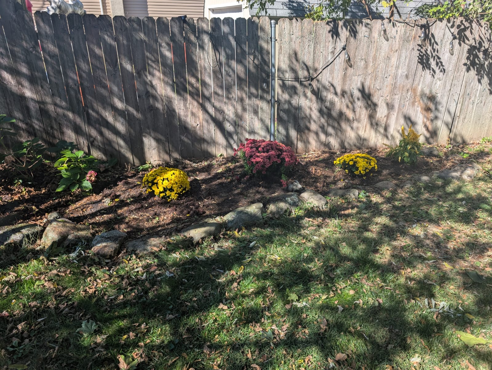 WhatsApp Image 2026-02-10 at 15.03.37