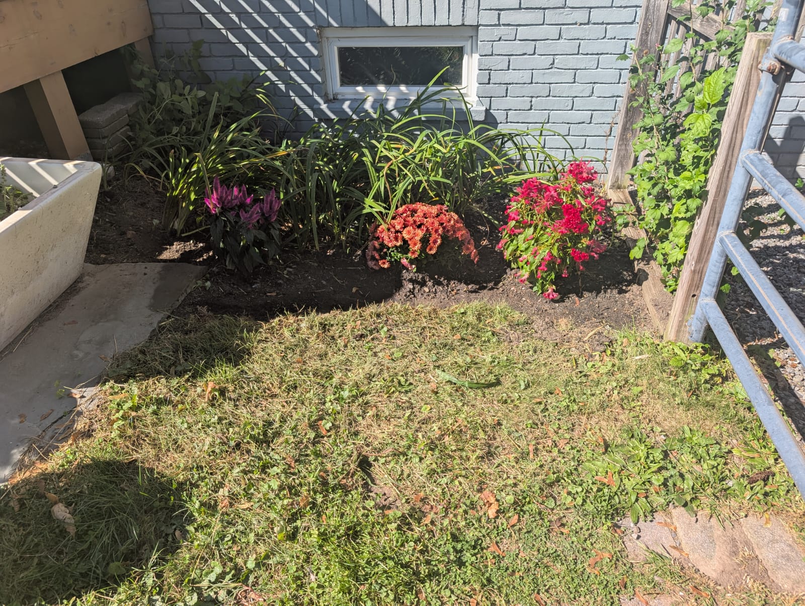 WhatsApp Image 2026-02-10 at 15.03.39 (1)