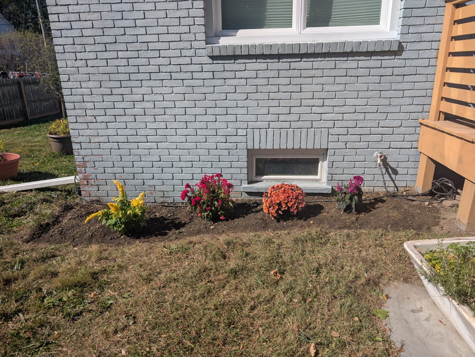 WhatsApp Image 2026-02-10 at 15.03.39