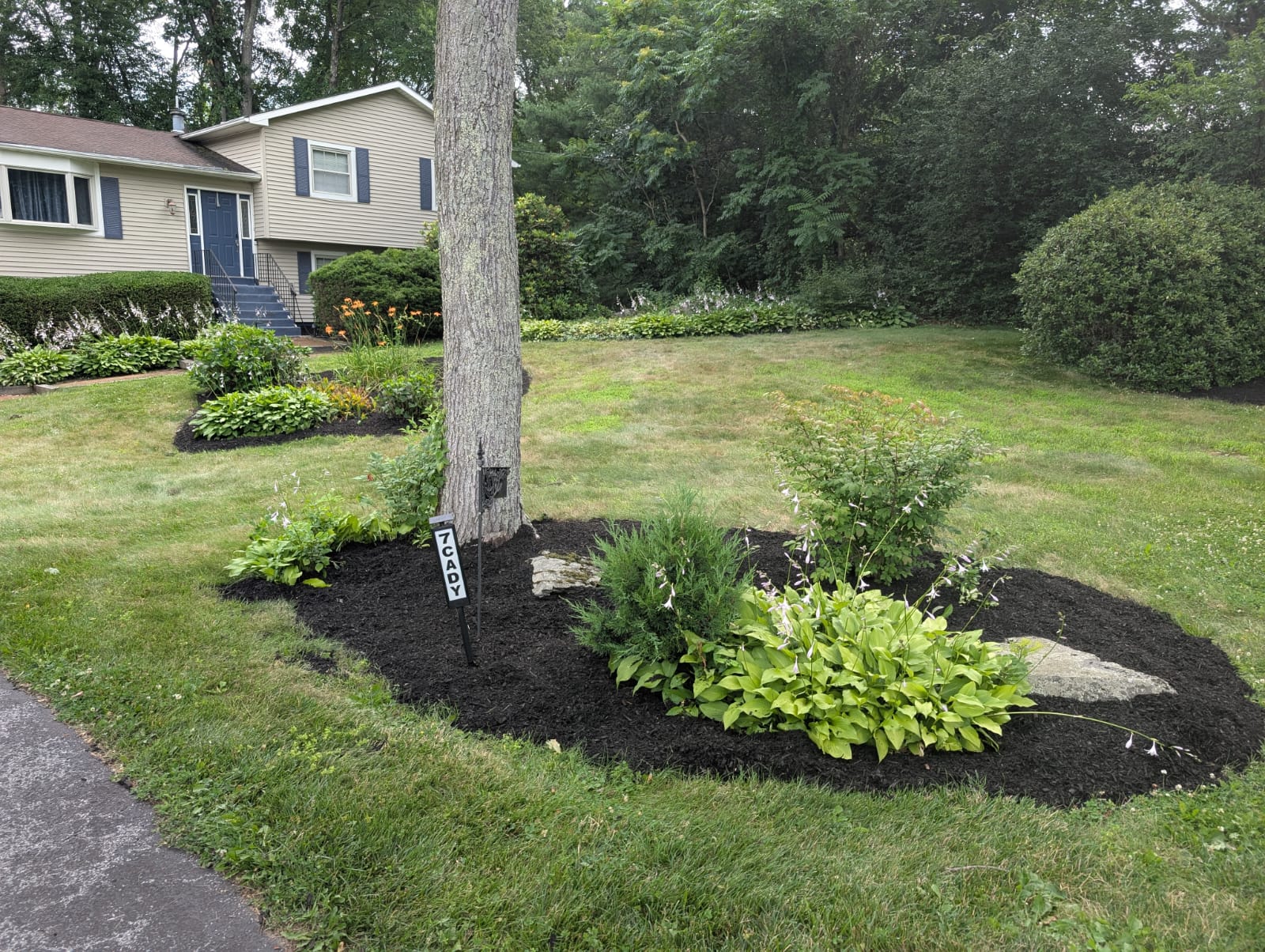 WhatsApp Image 2026-02-10 at 15.03.40 (2)