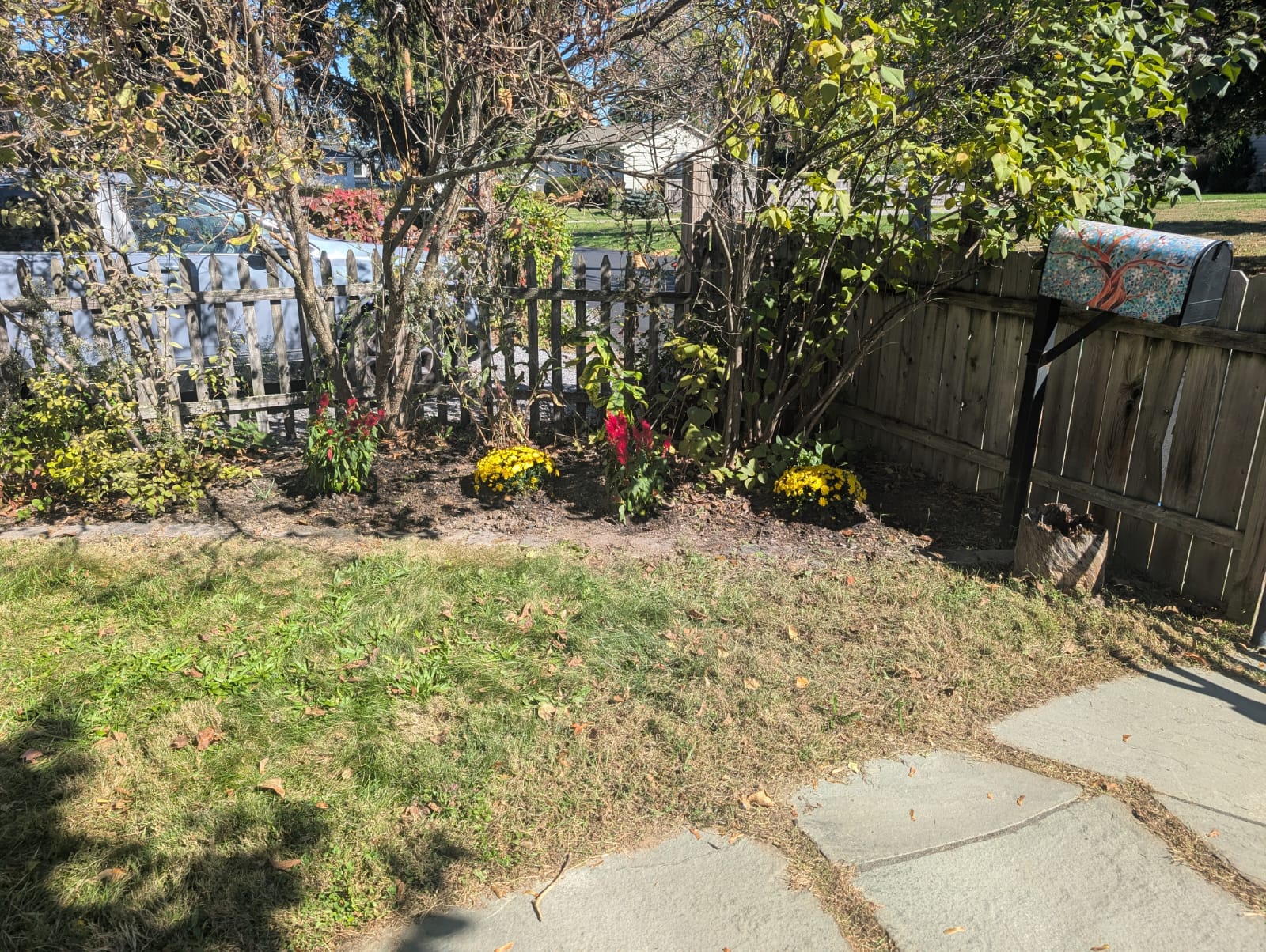 WhatsApp Image 2026-02-10 at 15.03.40