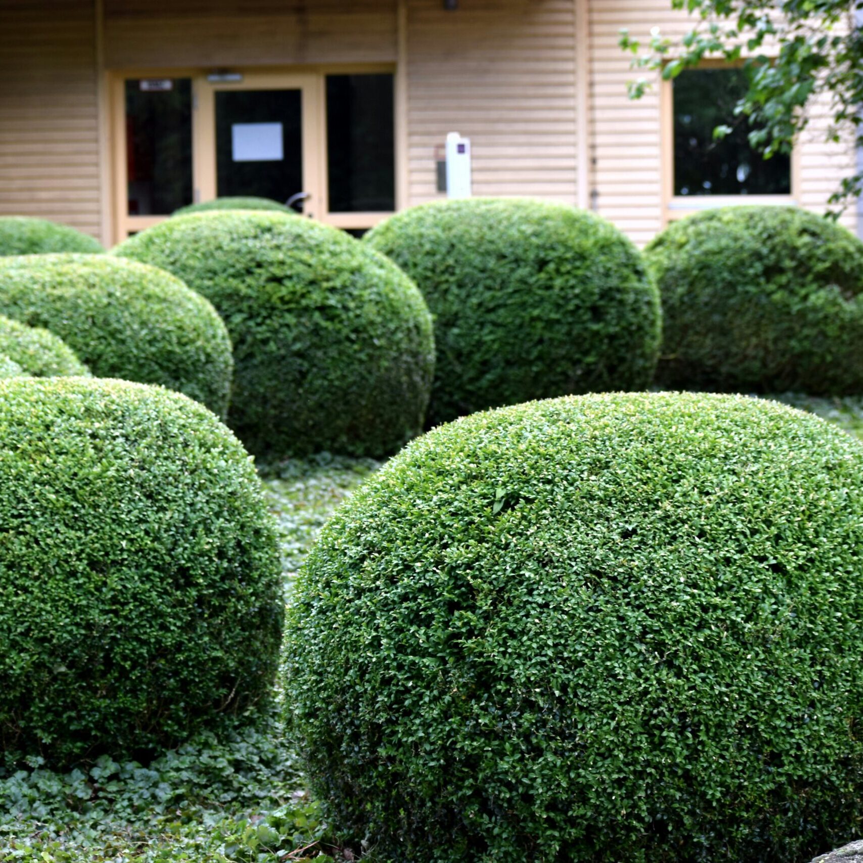 sergej-karpow-B8N3YKDuHhA-unsplash